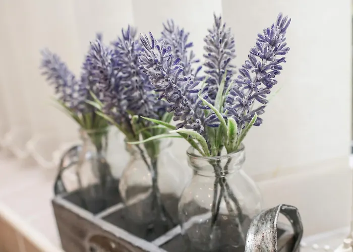 Church View Dom wakacyjny Whitby